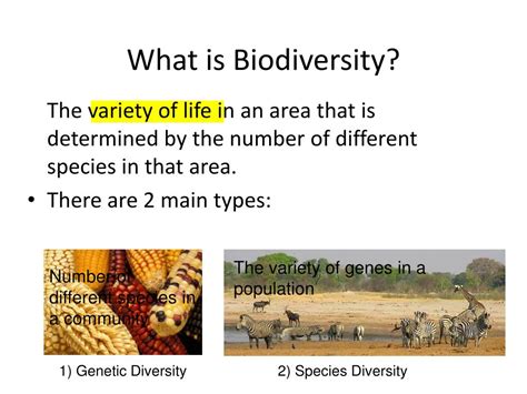 Ppt Biodiversity Powerpoint Presentation Free Download Id1760678