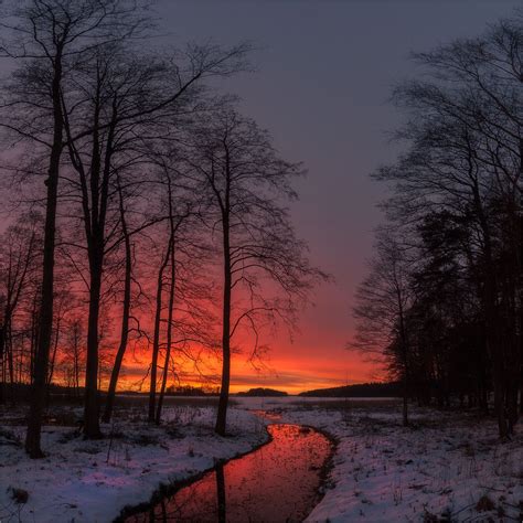 Sunset Over Frozen Lake Finland Lohja Winter Scenery Winter Trees