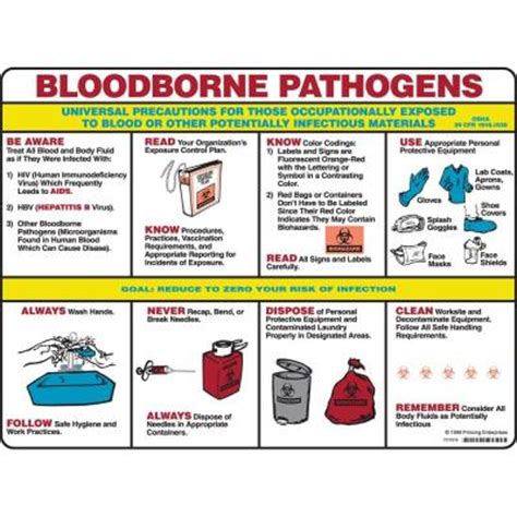Brady In X In Laminated Paper Blood Borne Pathogens Poster