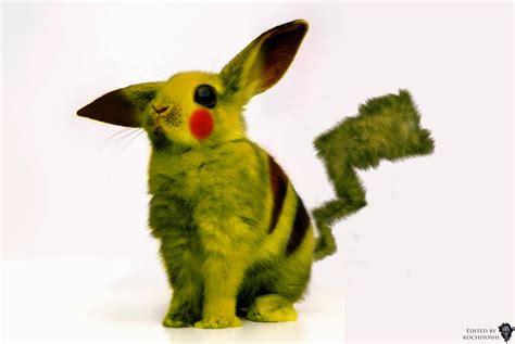 Pikachu Real Life By Kochiyoshi On Deviantart