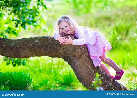 9873 Climbing Tree Child Stock Photos Free And Royalty Free Stock