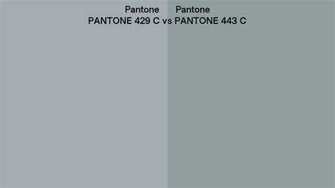 Pantone 429 C Vs Pantone 443 C Side By Side Comparison