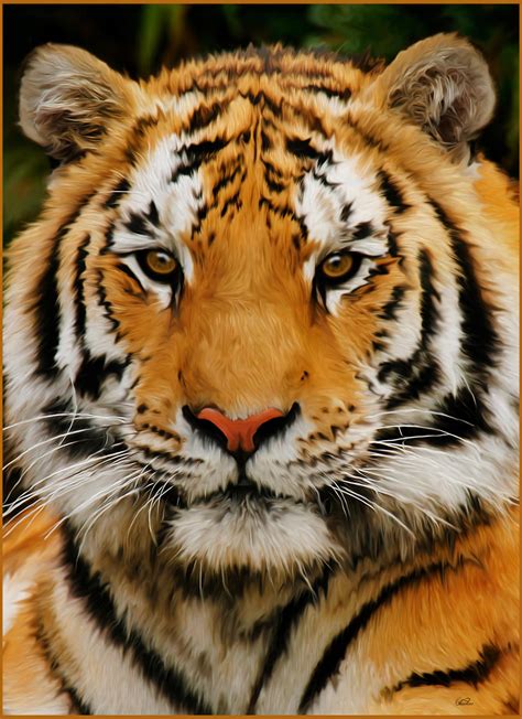 Tiger Painting By Chamirra On Deviantart