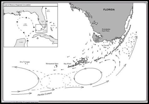 The Florida Current Has Been Weakening During The Past Century