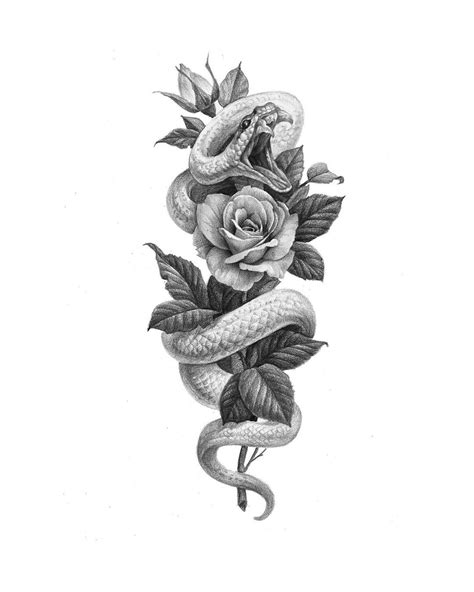 Image May Contain Plant Snake Tattoo Design Tattoo Designs And