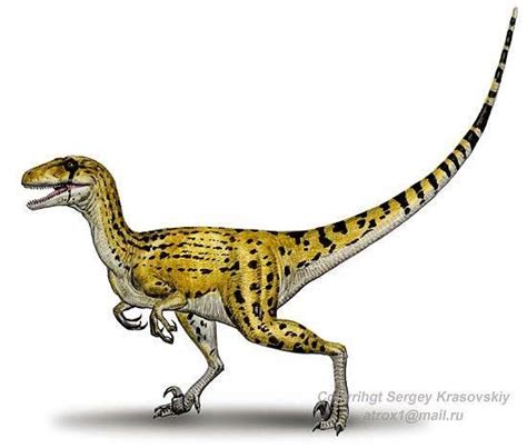 10 Facts About Utahraptor The Worlds Largest Raptor Prehistoric And