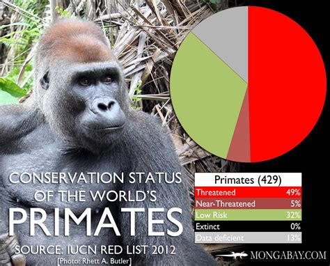 Conservation Status Of The Worlds Most Endangered