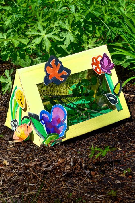 Make A Diy Bug Observation Box From Recycled Supplies