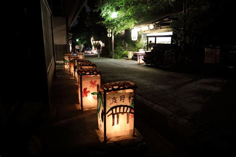 京都・洛西 愛宕古道街道灯し2018 ねこづらどき