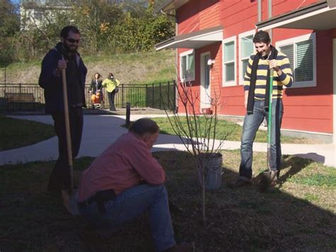 Blog Dutch Vally View Tree Planting Elizabeth Eason Architecture