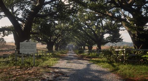 Areas within the game are divided into regions, and each of them boasts a particular ecosystem that supports different wildlife. Braithwaite Manor | Red Dead Redemption Wiki | Fandom