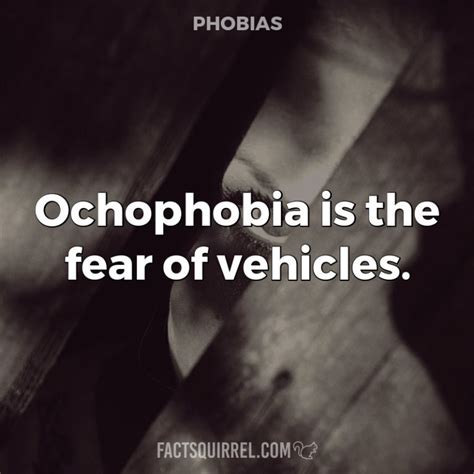 The Fear Of Crowds Is Known As Enochlophobia Factsquirrel