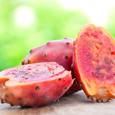 11 unusual fruits you should try on your next trip. All About Exotic Fruits | Metro
