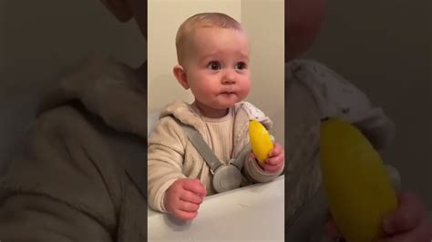 Cute Babies Eating Lemon Funny Baby Cute Shorts Eatinglemon Youtube