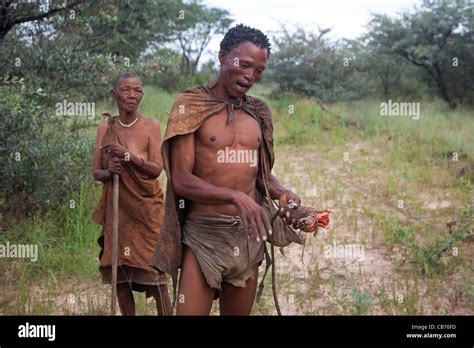 Elderly Woman And Bushman San Showing Roots And In The Kalahari Desert Near Ghanzi Botswana