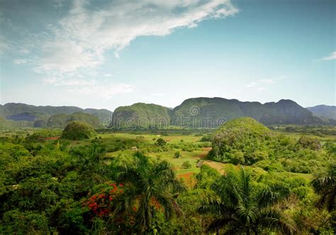 Zurück auf der straße machen wir noch den ein oder anderen fotostopp, besuchen die stadt viñales, die eigentlich nur aus. Panoramische Ansicht Des Vinales Tales In Kuba Stockfoto ...