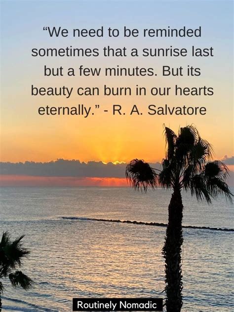 Best Sunrise Quotes To Greet The Day In 2022 Routinely Nomadic