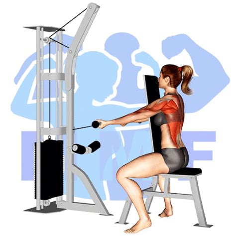 seated underhand cable row an innovative exercise for your back