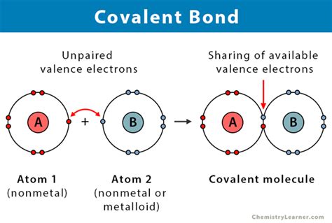 Covalent Compounds Examples At Home Eduforkid