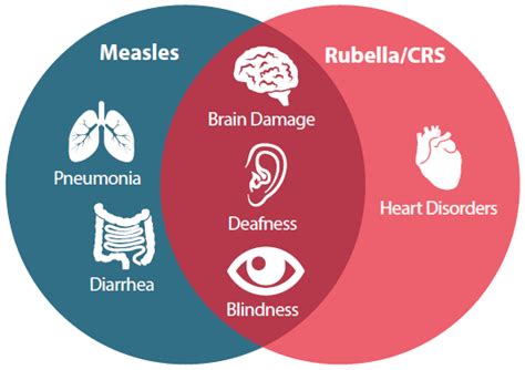 About Global Measles Rubella And Congenital Rubella Syndrome Crs