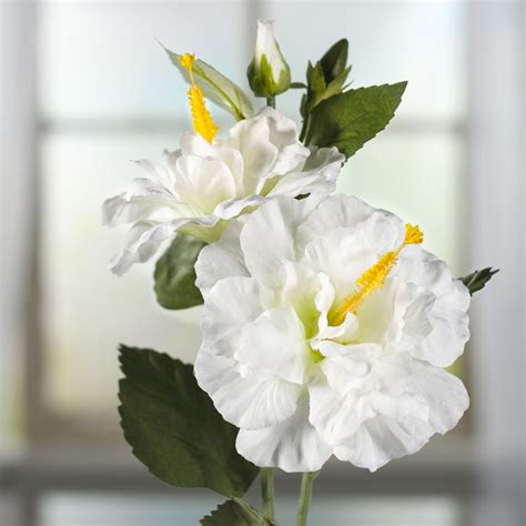 Buy the best and latest artificial hibiscus flowers on banggood.com offer the quality artificial hibiscus flowers on sale with worldwide free shipping. White Artificial Hibiscus Spray - Picks + Sprays - Floral ...