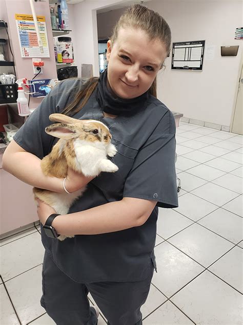 Rabbit Care Queen Creek Veterinary Clinic