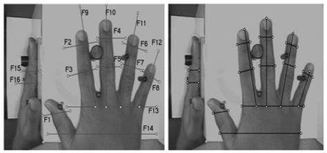 Basic Principles And Trends In Hand Geometry And Hand Shape Biometrics