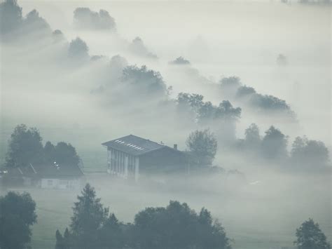 Free Images Landscape Tree Nature Horizon Mountain Sky Fog