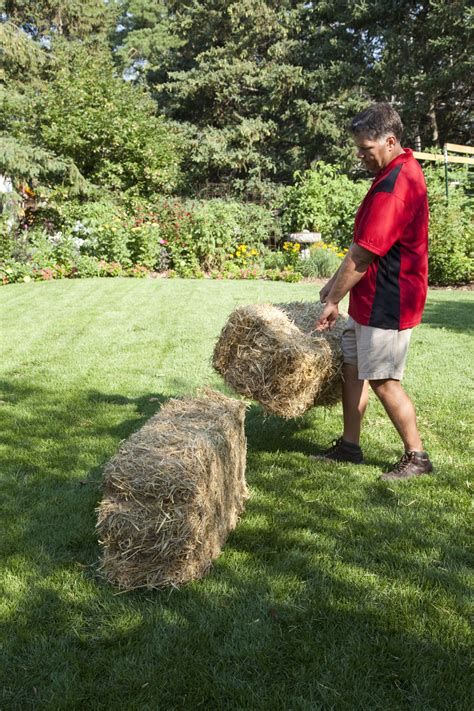 Learn To Grow A Straw Bale Garden Gardening Know Hows Blog