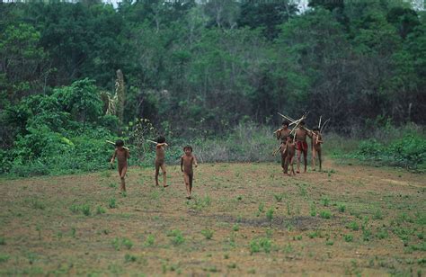 Yanomami Indians Amazon Brazil Nigel Dickinson