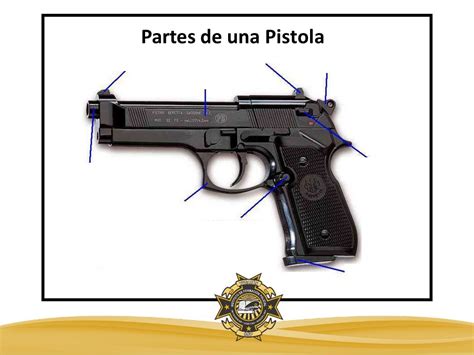 Partes De Una Pistola Diagram Quizlet