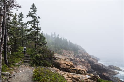 The Ocean Path Trail To Sand Beach At Acadia National Park Roadesque