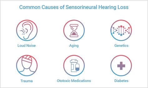 Causes Of Hearing Loss Al Barakat Hearing Care Center