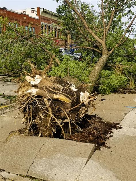 Maybe you would like to learn more about one of these? I Survived the Derecho Land Hurricane 2020, In Cedar ...