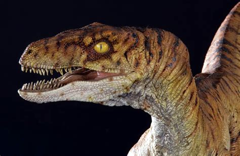 The Weird Unicorns World • Jurassic Park Velociraptors Through The First