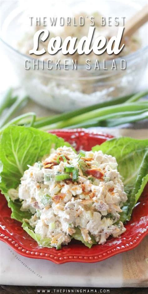 The Worlds Best Loaded Chicken Salad Recipe • The Pinning Mama