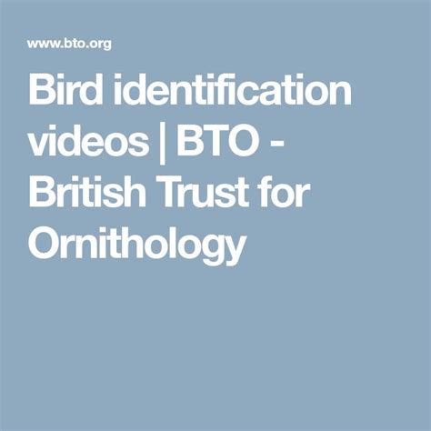 Bird Identification Videos Bto British Trust For Ornithology Bird