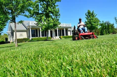 How Should You Start Cutting Your Lawn Rosslyn Hoax