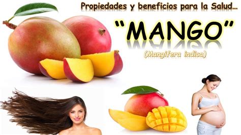 El Mango Propiedades Y Beneficios Para La Salud Youtube
