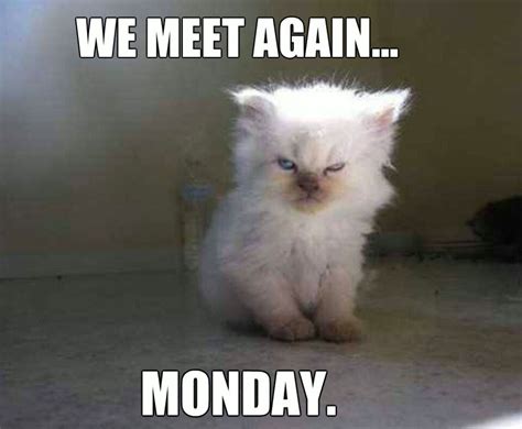 We Meet Again Monday Funny Animal Jokes Funny Animal Quotes Cute