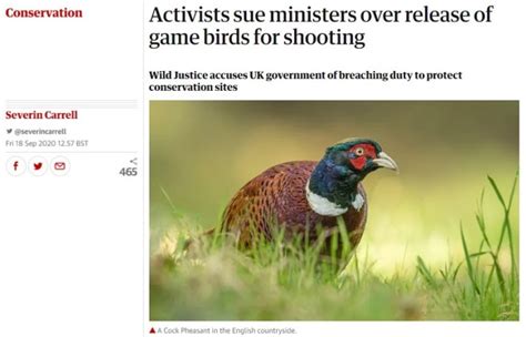 Unregulated Release Of Millions Of Gamebirds Continues To Draw