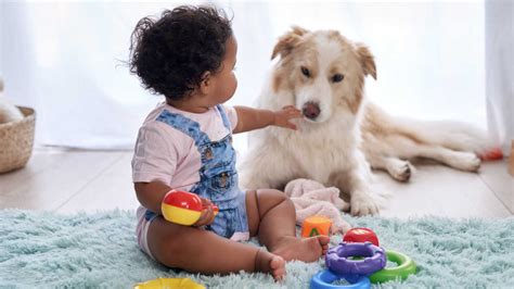 Benefits Of Having Pets Their Influence On A Childrens Personality