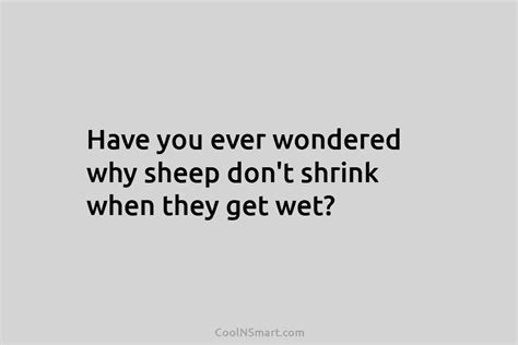 Quote Have You Ever Wondered Why Sheep Dont Shrink When They Get Wet