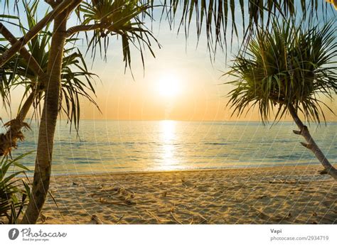 Sunset At Tropical Beach With Palms A Royalty Free Stock Photo From