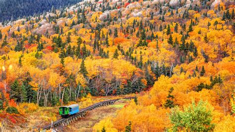 The Fall Foliage Season Will Be Delayed, According to Experts | Travel 