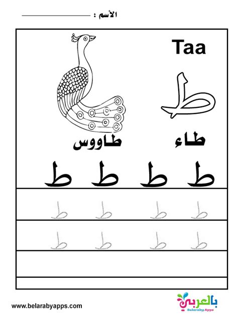 كراسة تعليم كتابة الحروف العربية للاطفال مجانا جاهزة للطباعة ⋆ بالعربي نتعلم