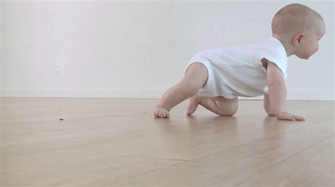 Crawling Baby Animated 