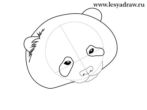 Um ihr den umfang zu geben und, die anordnung der augen zu planen. Einen Panda zeichnen lernen - Tutorial | DekoKing - DIY