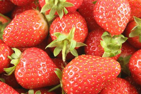 It can be used as a standalone sauce or as the base for numerous custards and creams, even ice cream. Fruit And Cream Desserts: Creme Anglaise Aux Fruits ...