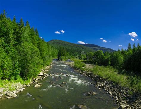 View Of The Mountain River With Green Forest Stock Photo Image Of
